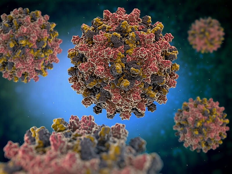 Penyebaran Hepatitis A Mengguncang Eropa Tengah: Kewaspadaan Meningkat di Tengah Lonjakan Kasus